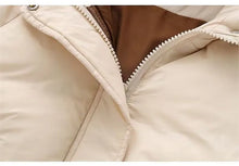 画像をギャラリービューアに読み込む, hooded coat bear