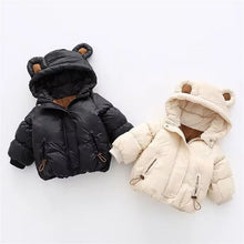 画像をギャラリービューアに読み込む, hooded coat bear