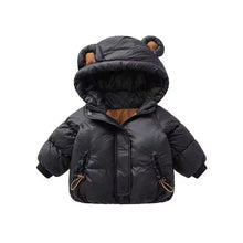 画像をギャラリービューアに読み込む, hooded coat bear