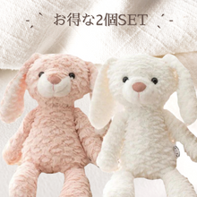 画像をギャラリービューアに読み込む, 𓊆 セット割引き 𓊇 Animal First Toy 2個セット♩